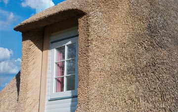 Elmer thatch roof disadvantages